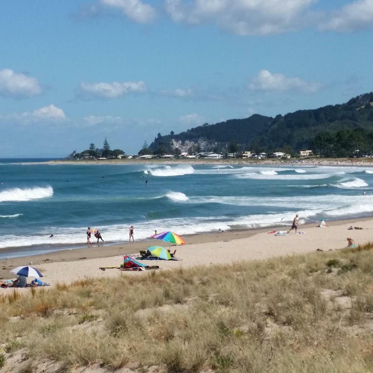 Amazing Kiwi Lodge Whangamata Zewnętrze zdjęcie